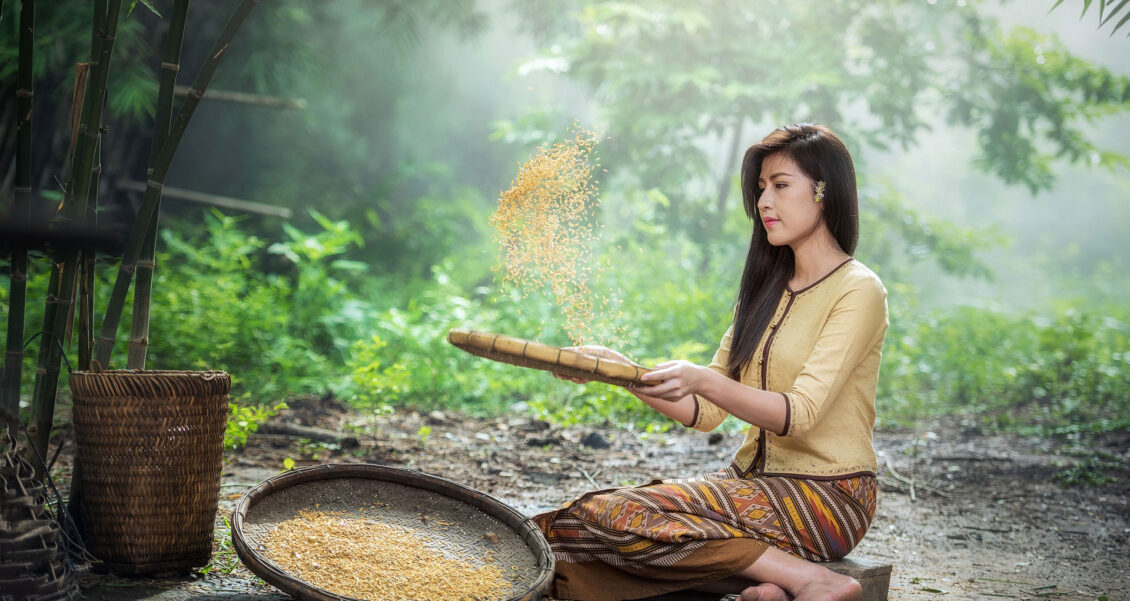 Discovering Sydney’s See Attractions line collaboration dans les rues