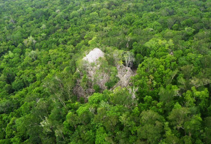 Cumple 33 años la Reserva de la Biosfera Maya de Guatemala