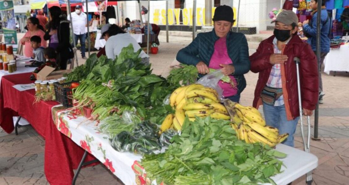 Día Orgánico, proyecto que impulsa la alimentación saludable