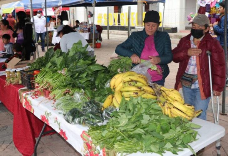 Día Orgánico, proyecto que impulsa la alimentación saludable