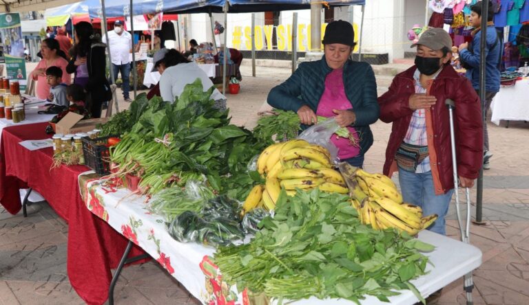 Día Orgánico, proyecto que impulsa la alimentación saludable