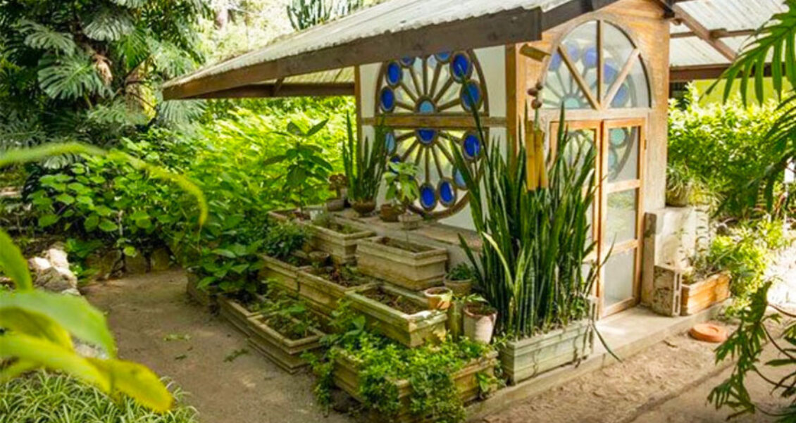 <strong>Conoce el Jardín Botánico de la Ciudad de Guatemala</strong>