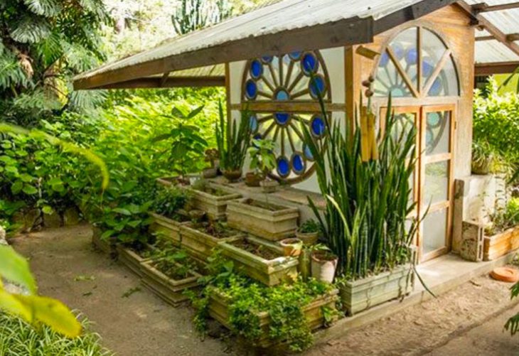 <strong>Conoce el Jardín Botánico de la Ciudad de Guatemala</strong>