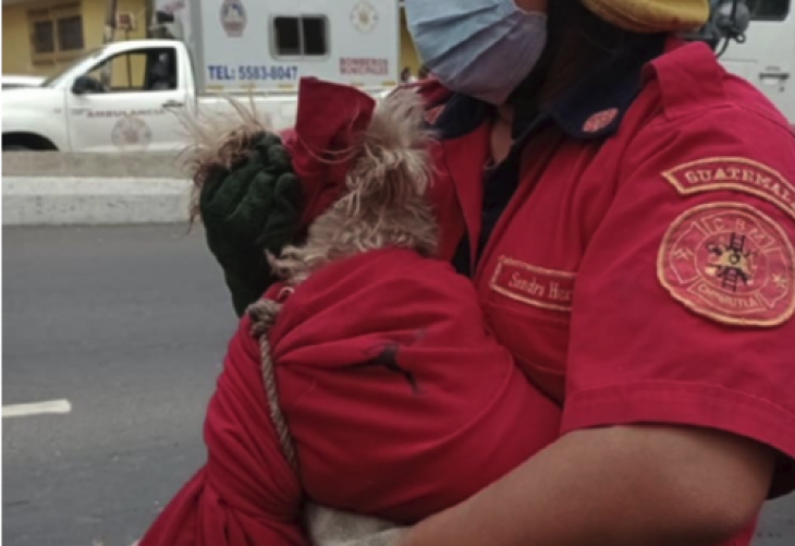 Heroico rescate de un perro atropellado en Guatemala