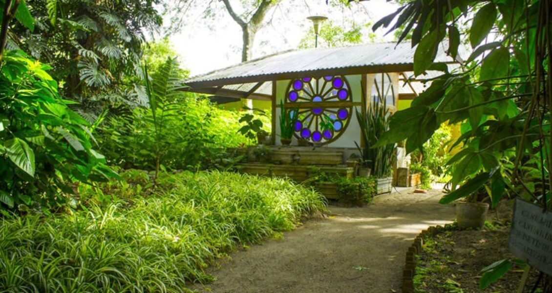 Conoce el Jardín Botánico de la Ciudad de Guatemala