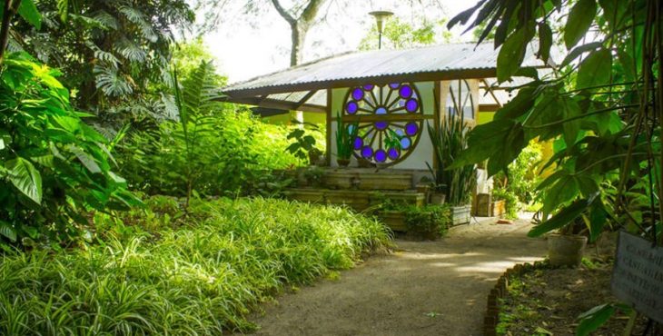 Conoce el Jardín Botánico de la Ciudad de Guatemala