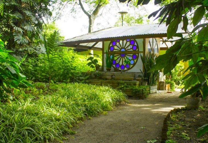 Conoce el Jardín Botánico de la Ciudad de Guatemala