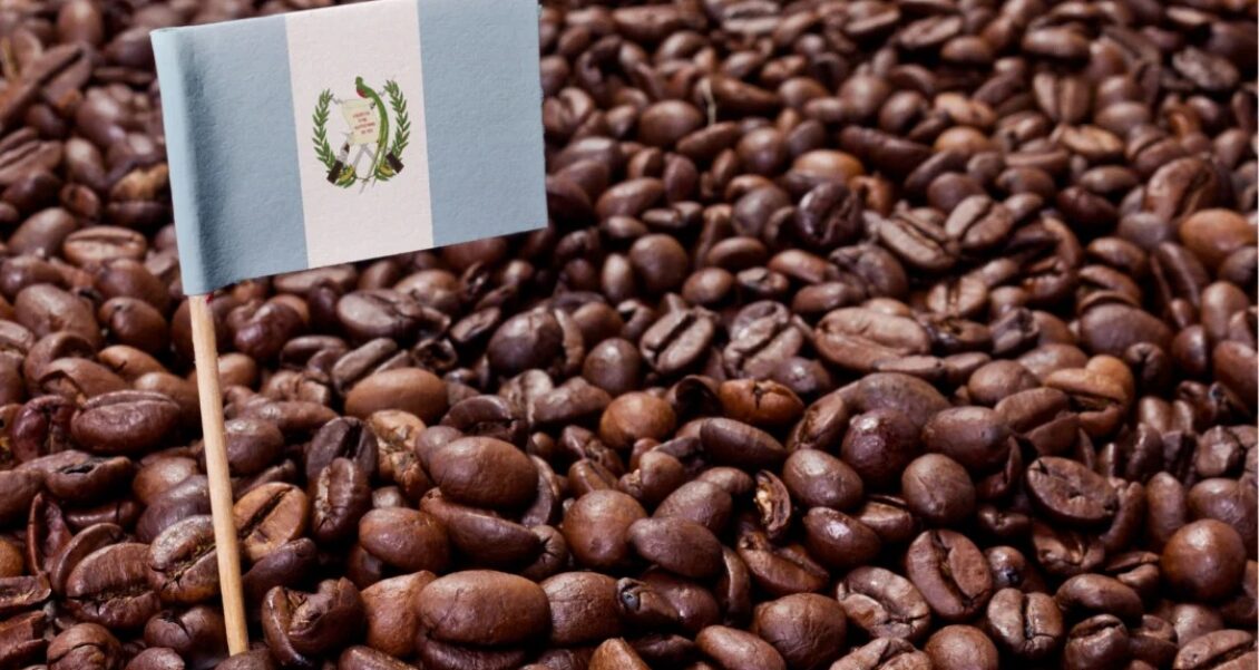 Guatemala promociona el café guatemalteco en Expo Café
