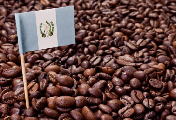 Guatemala promociona el café guatemalteco en Expo Café