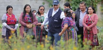 Guatemala impulsa la agricultura familiar en Chimaltenango
