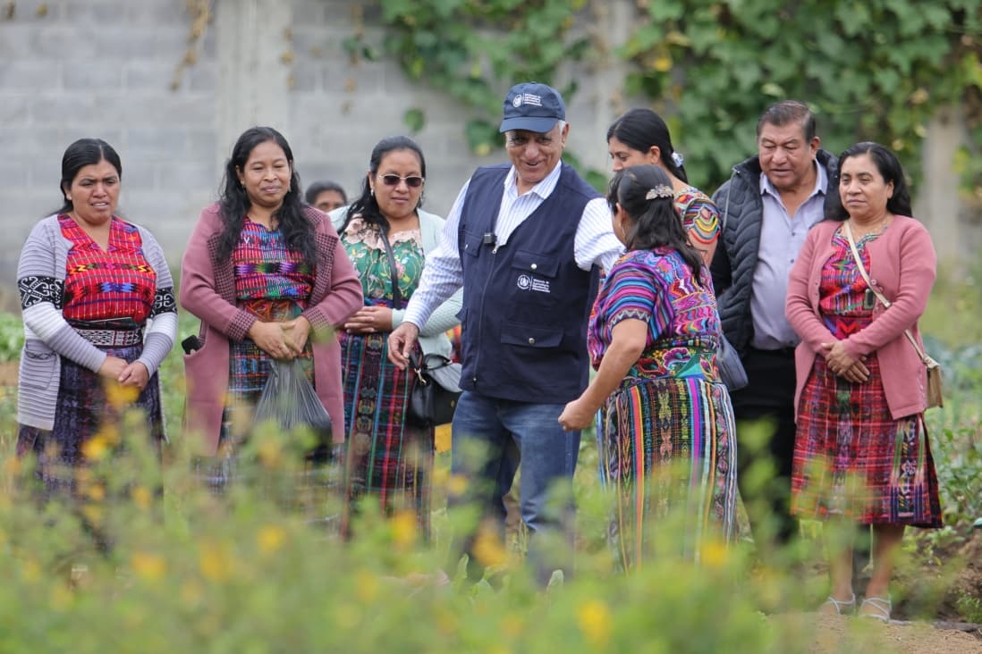 Guatemala impulsa la agricultura familiar en Chimaltenango