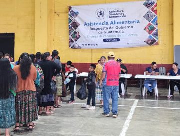 Miles de familias reciben alimentos por programas del MAGA