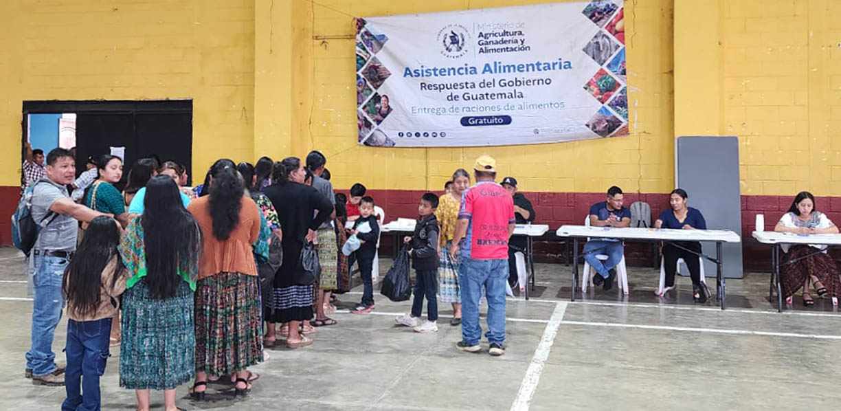 Miles de familias reciben alimentos por programas del MAGA