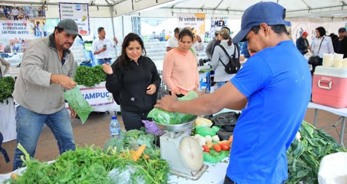 Feria del Agricultor llevará frescura al Campo Marte