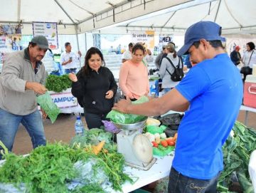 Feria del Agricultor llevará frescura al Campo Marte