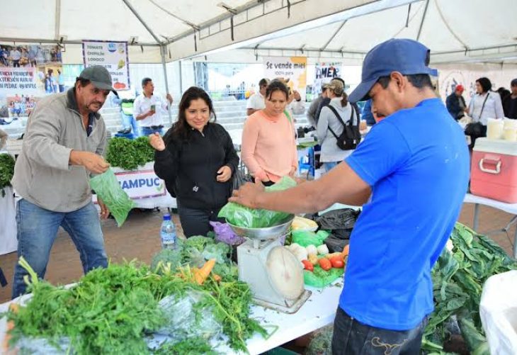 Feria del Agricultor llevará frescura al Campo Marte