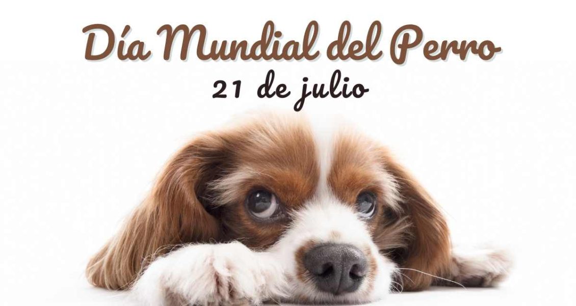 El Día Mundial del perro promueve la adopción responsable