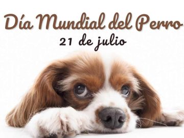 El Día Mundial del perro promueve la adopción responsable