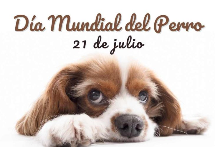 El Día Mundial del perro promueve la adopción responsable