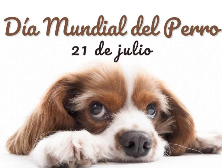 El Día Mundial del perro promueve la adopción responsable