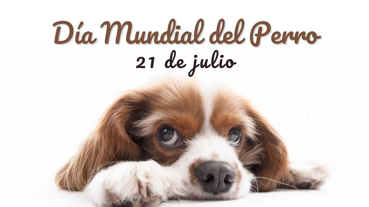 El Día Mundial del perro promueve la adopción responsable