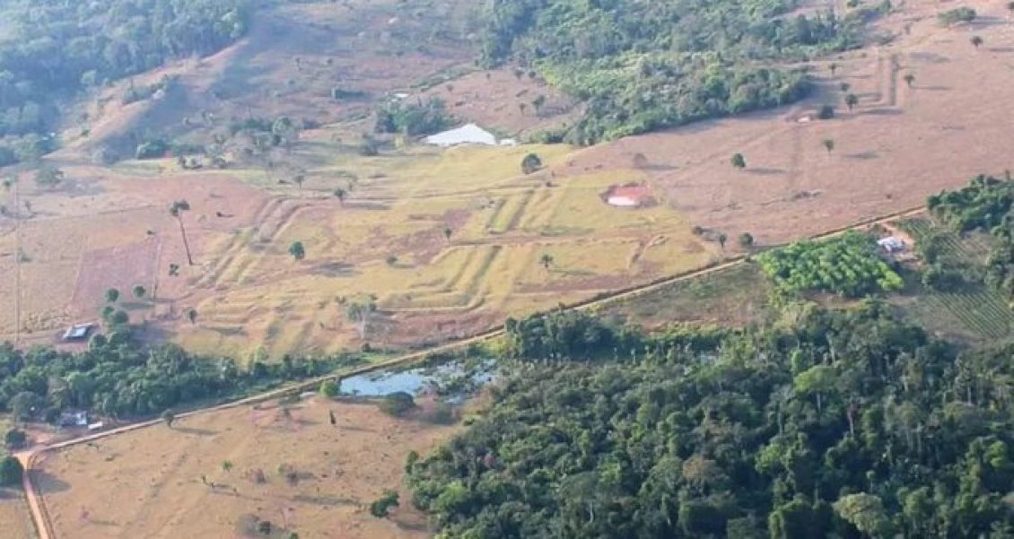 Revelan más de 20 mil geoglifos en la Amazonía