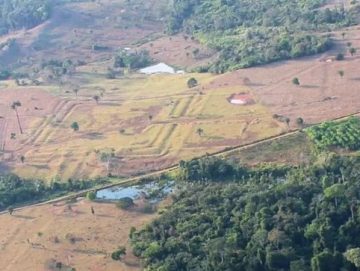 Revelan más de 20 mil geoglifos en la Amazonía