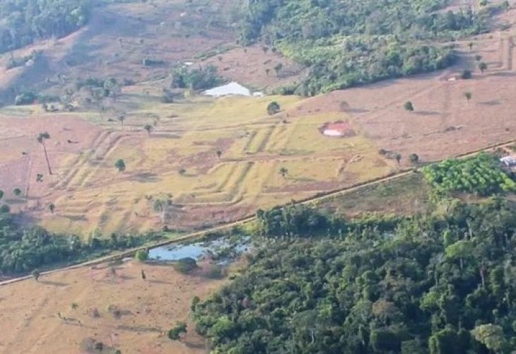 Revelan más de 20 mil geoglifos en la Amazonía