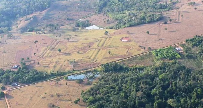 Revelan más de 20 mil geoglifos en la Amazonía