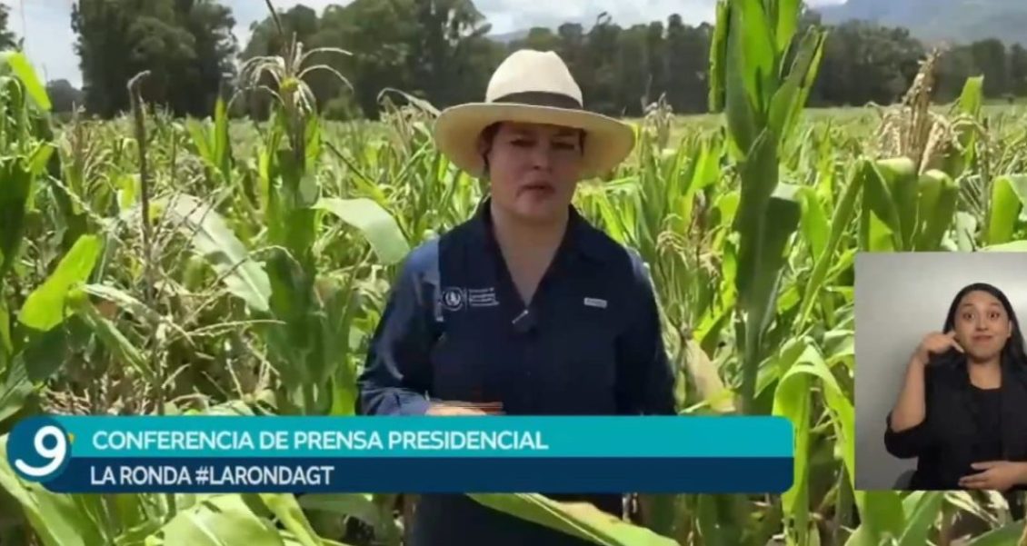 Acciones del MAGA producción agrícola Guatemala impulsan