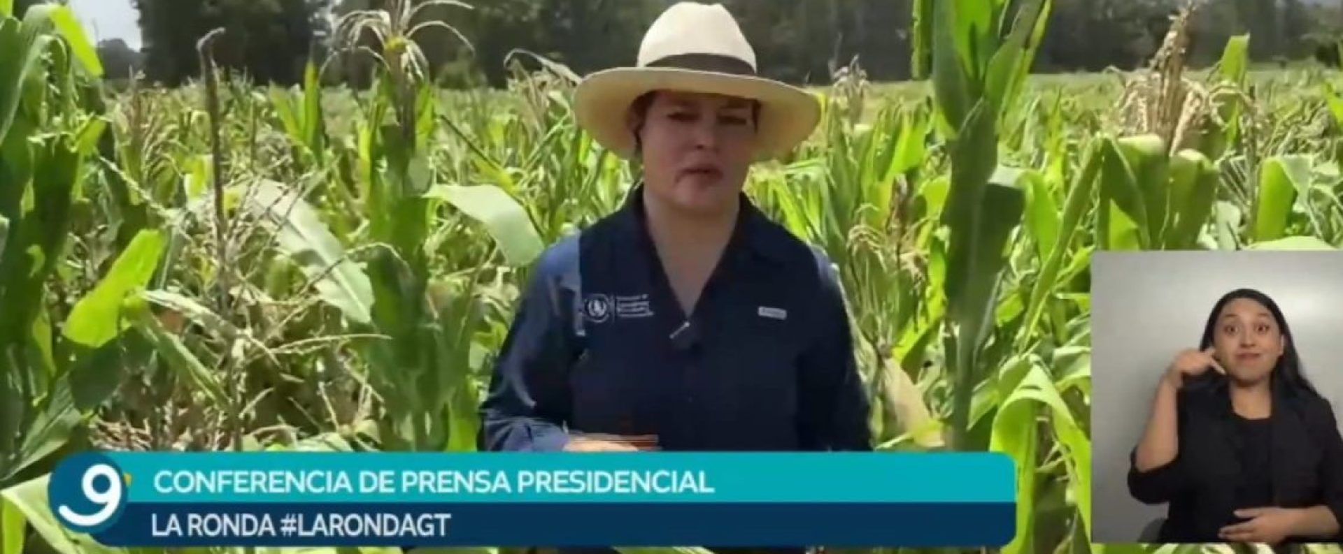 Acciones del MAGA producción agrícola Guatemala impulsan