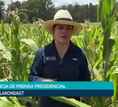 Acciones del MAGA producción agrícola Guatemala impulsan