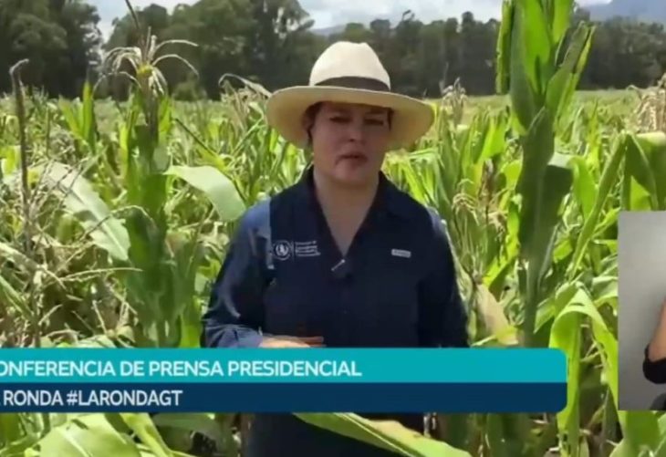 Acciones del MAGA producción agrícola Guatemala impulsan