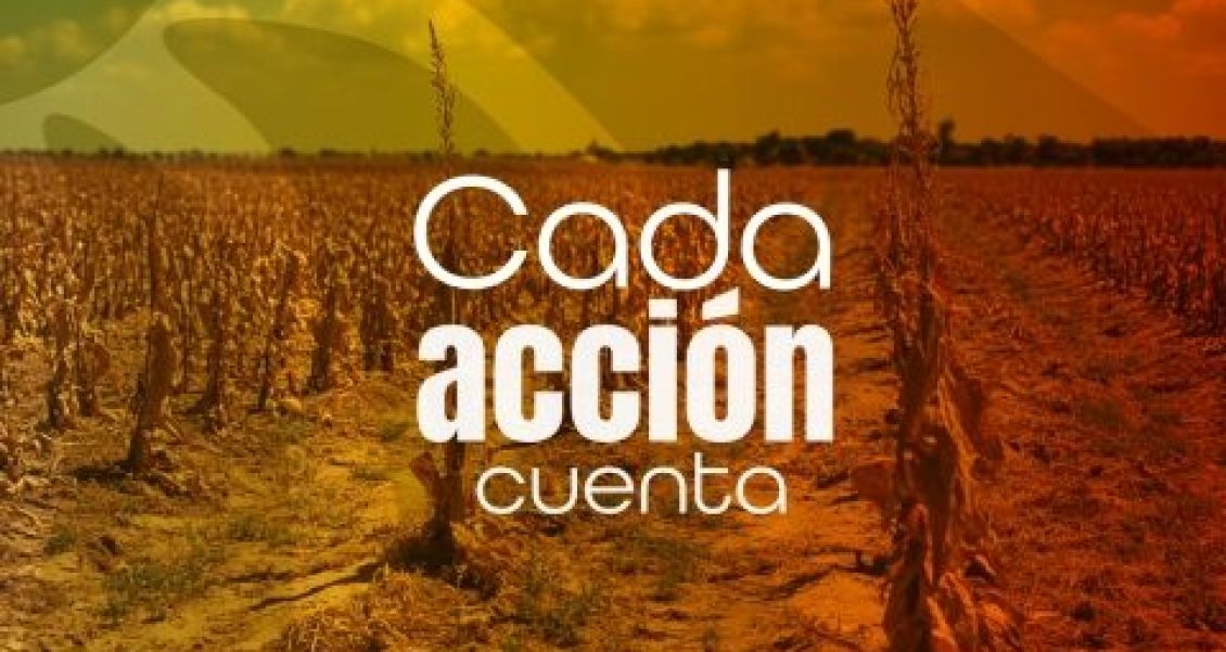 Fortalecen acciones preventivas ante la sequía y escasez