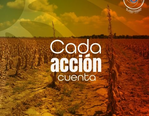 Fortalecen acciones preventivas ante la sequía y escasez