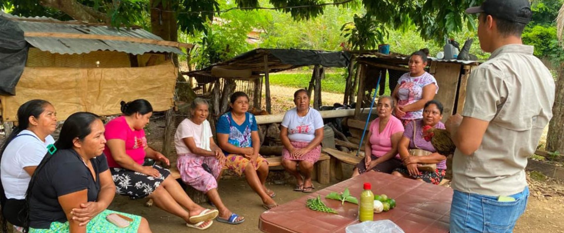Tratamiento aves de traspatio CADER Peten se enseña