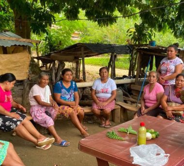 Tratamiento aves de traspatio CADER Peten se enseña