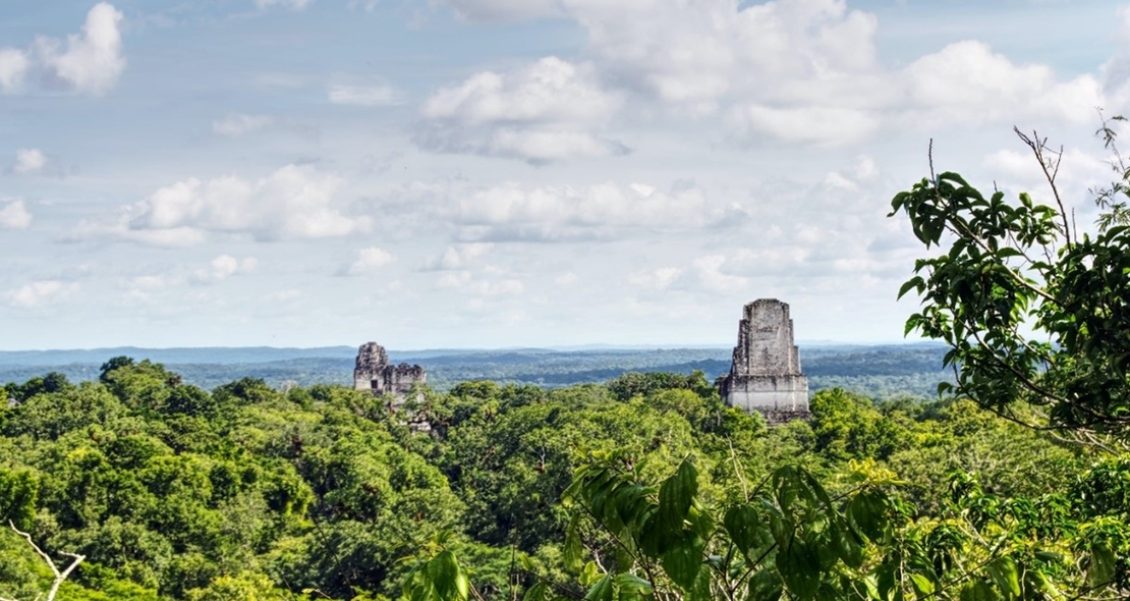 MARN, MAGA, CONAP e INAB protegen dos reservas de biosfera