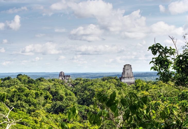 MARN, MAGA, CONAP e INAB protegen dos reservas de biosfera